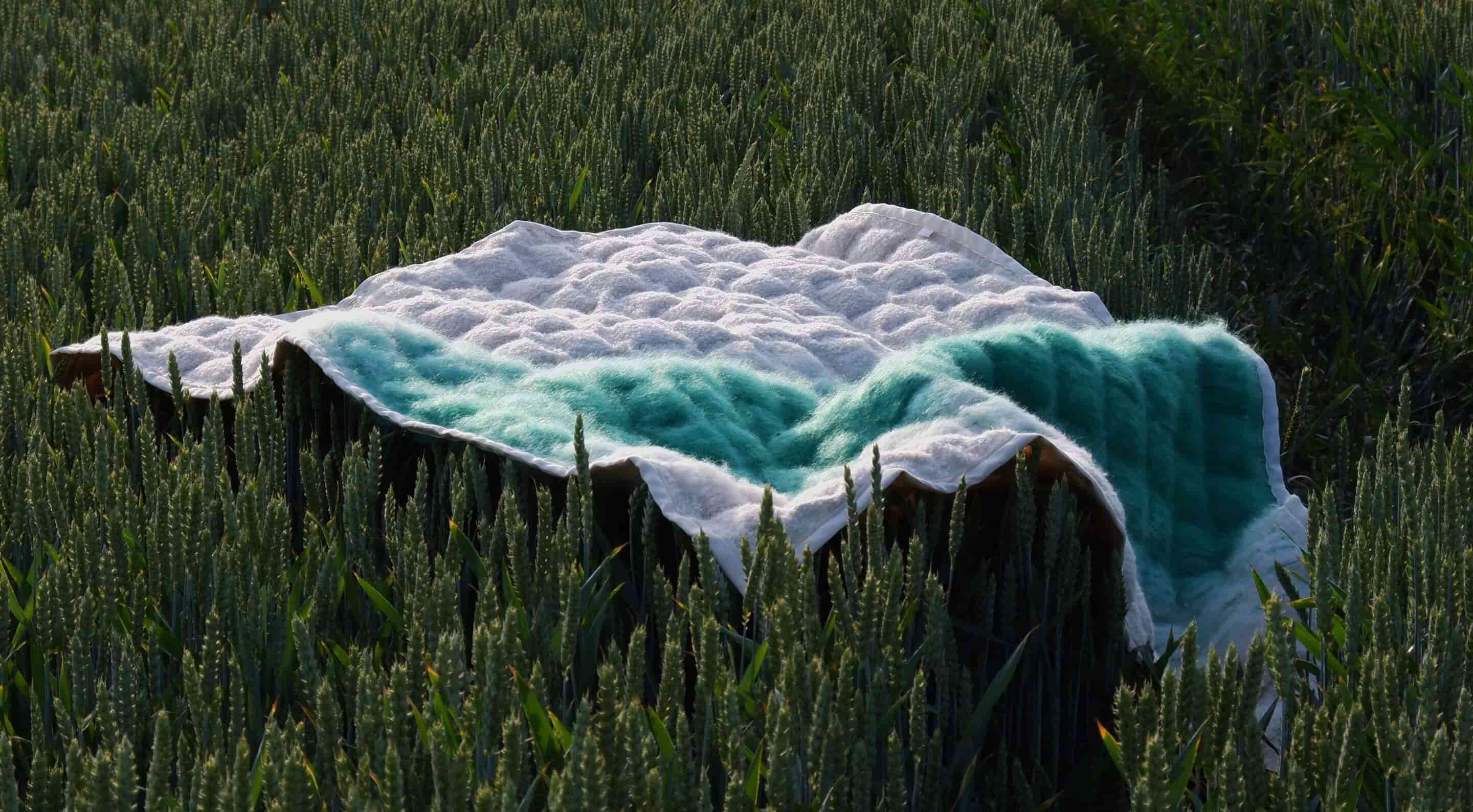 blur blanket laying on the grass