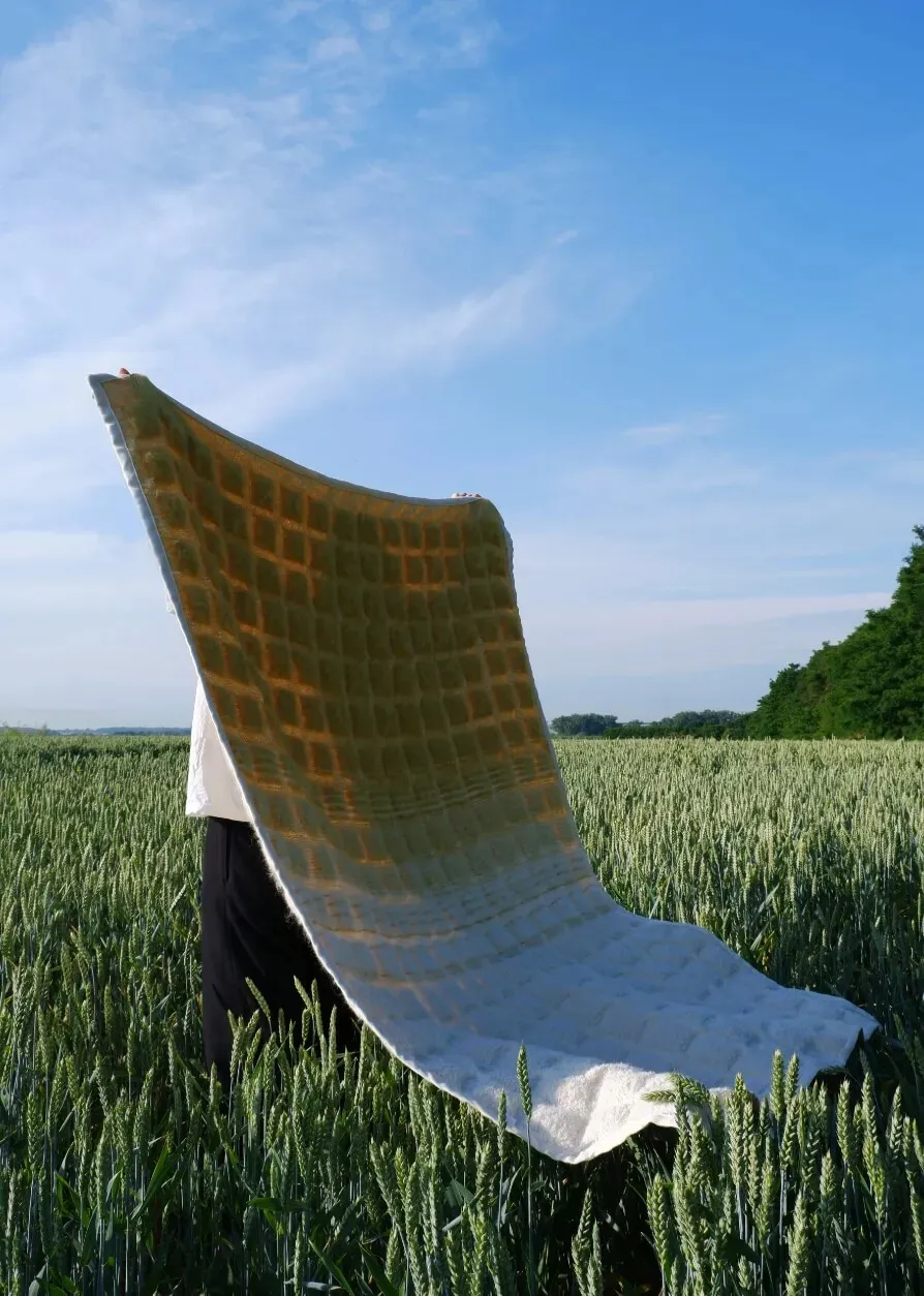 person holding blur blanket in the nature