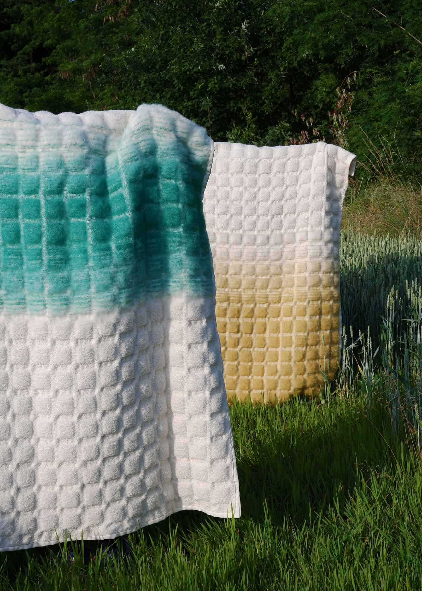 image of two blankets on the green grass